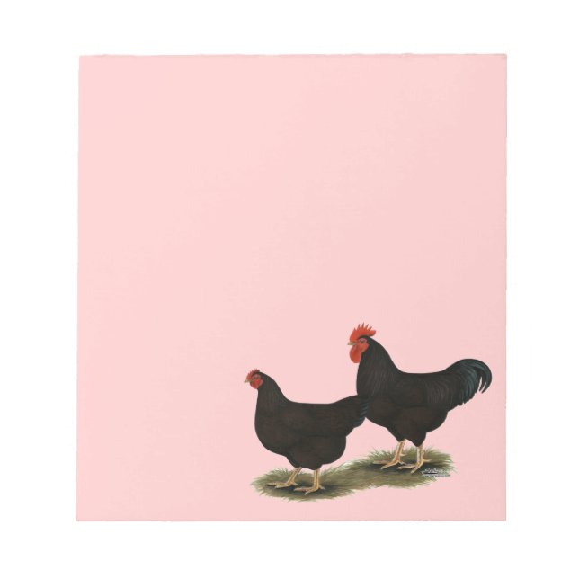 Rhode Island Red Bantams Notizblock (Vorderseite)