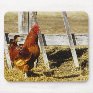 Rhode Island Red Hahn Mousepad