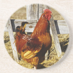 Rhode Island Red Hahn Sandstein Untersetzer