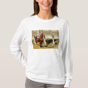 Rhode Island Red Hahn T-Shirt