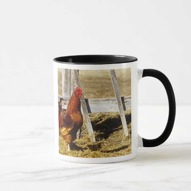 Rhode Island Red Hahn Tasse (Rechts)
