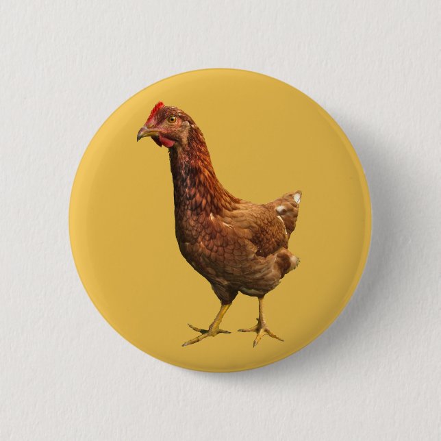Rhode Island Red Hen Hühnerknopf Button (Vorderseite)