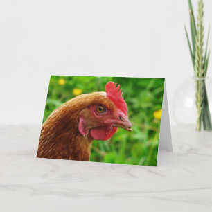 Rhode Island Red Hen Karte
