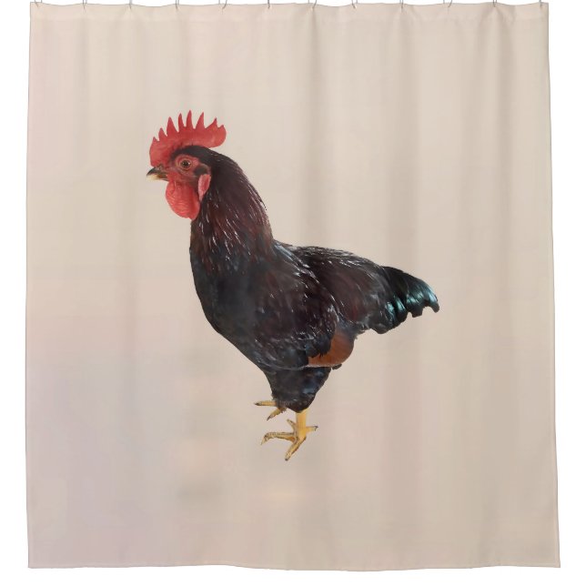 Rhode Island Red Rooster Duschvorhang (Vorderseite)