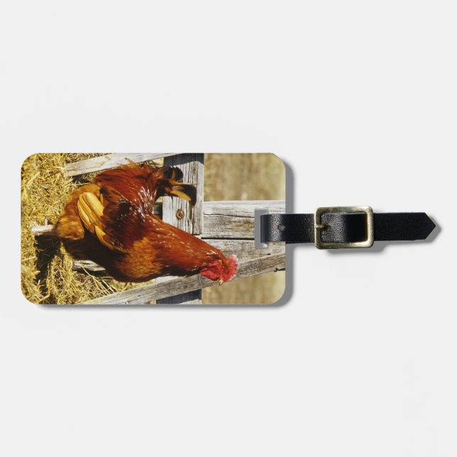 Rhode Island Red Rooster Gepäckanhänger (Vorderseite horizontal)