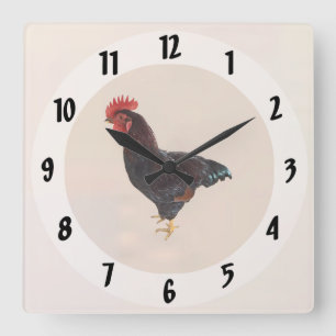 Rhode Island Red Rooster Quadratische Wanduhr