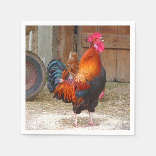 Rhode Island Rooster Crowing in Barnyard Serviette (Vorderseite)
