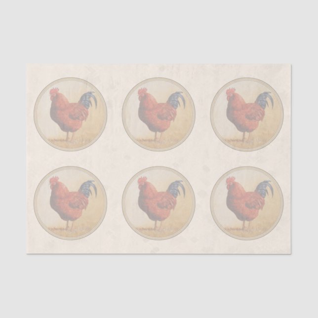 Rhode Island Rooster Gelber Hintergrund Seidenpapier (Vorderseite)