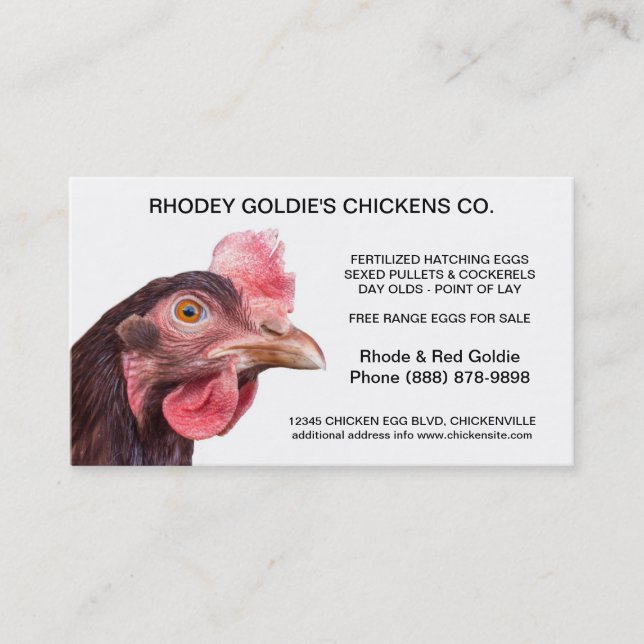 Rhode Island Rot-Brutplatz-Legehenne-Huhn Visitenkarte (Vorderseite)