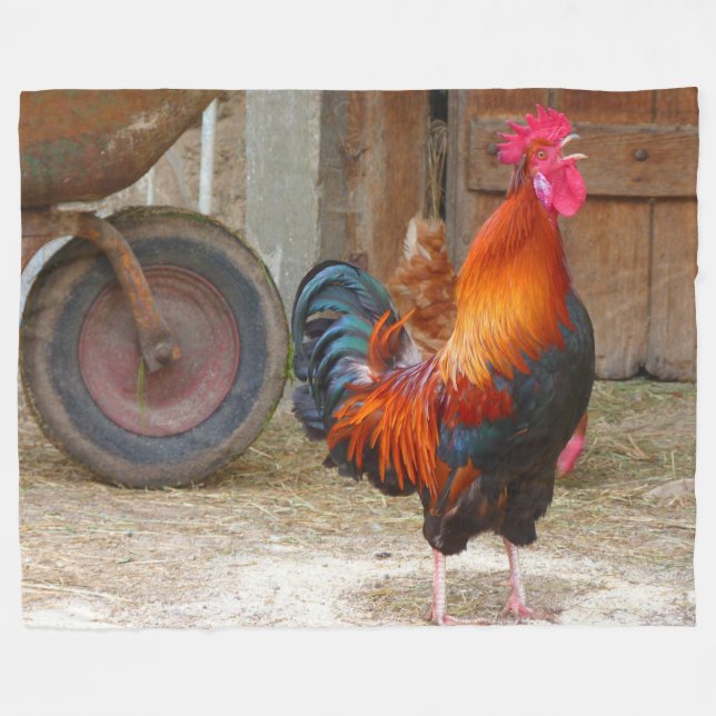 Rhode Island Rot-Hahn, der im Barnyard kräht Fleecedecke (Vorderseite (Horizontal))