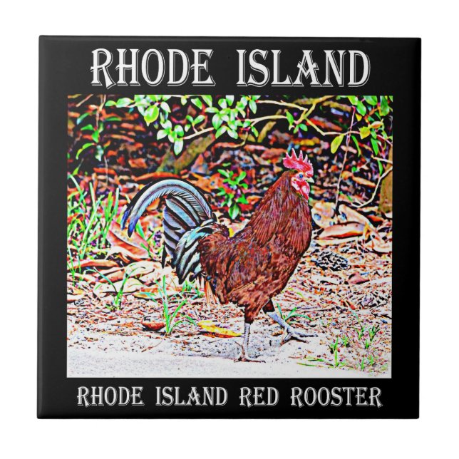 Rhode Island Rot-Hahn Fliese (Vorderseite)