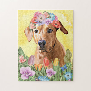 Rhodesian Rdgeback Dog mit Blume Spring