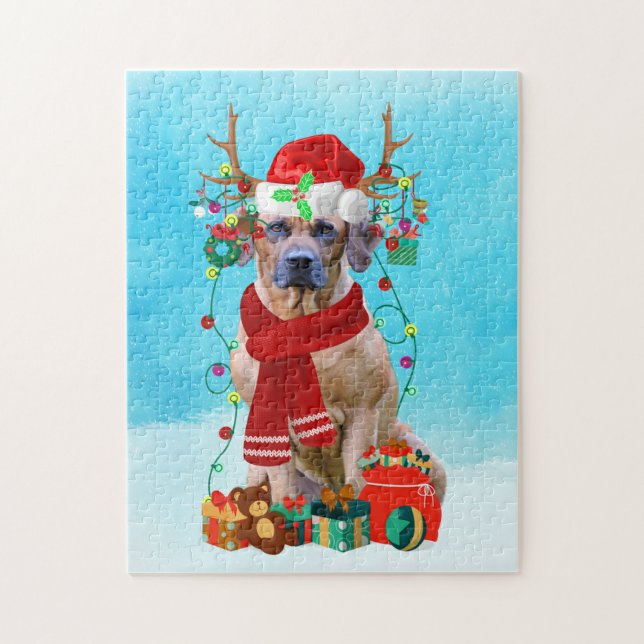 Rhodesian Rdgeback im Schnee mit Weihnachtsgeschen (Vertikal)