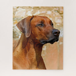 Rhodesian Ridgeback