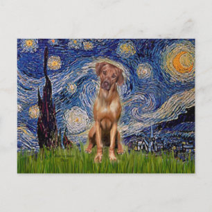 Rhodesian Ridgeback 1 - Starry Night Postkarte