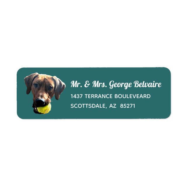 Rhodesian Ridgeback Address Labels (Vorne)