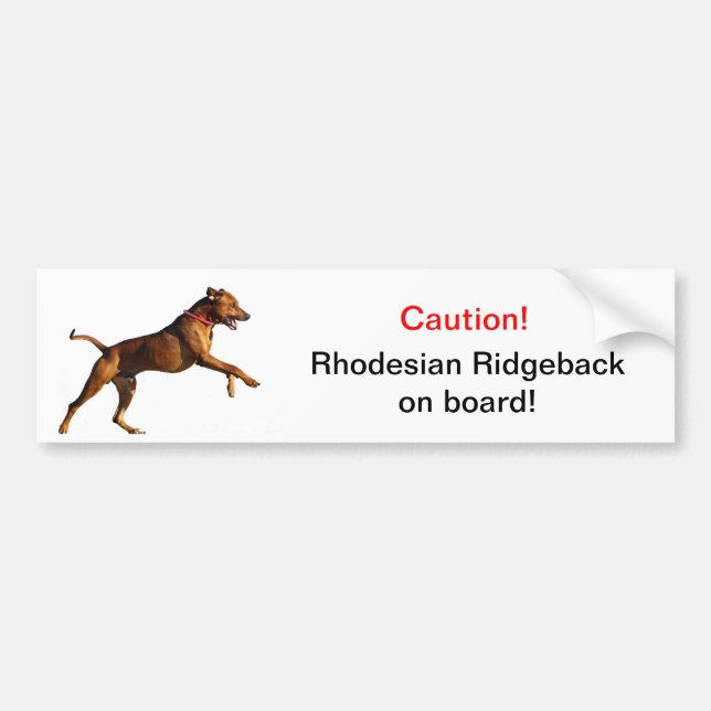 Rhodesian Ridgeback Autoaufkleber (Vorne)