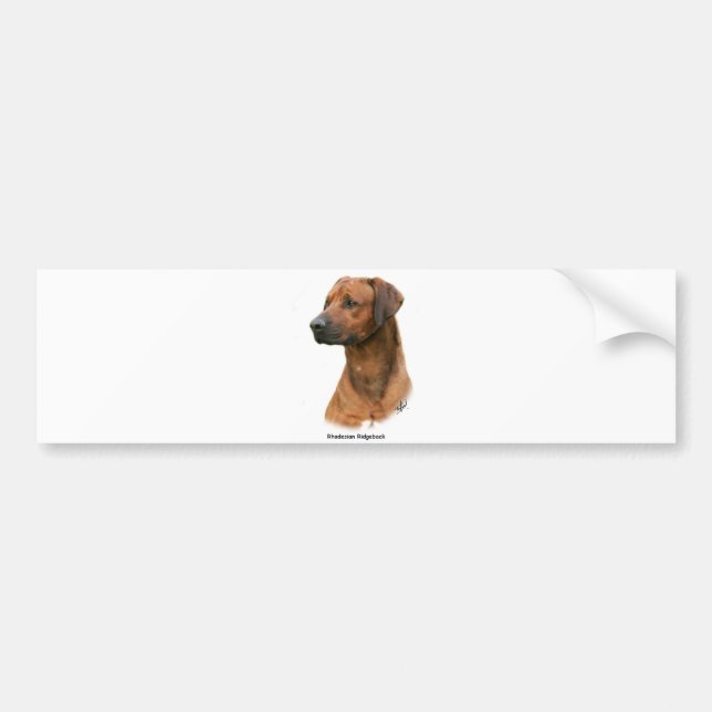 Rhodesian Ridgeback Autoaufkleber (Vorne)