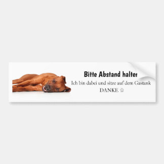 Rhodesian Ridgeback Autoaufkleber
