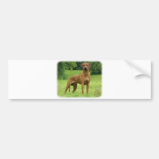 Rhodesian Ridgeback Autoaufkleber (Vorne)