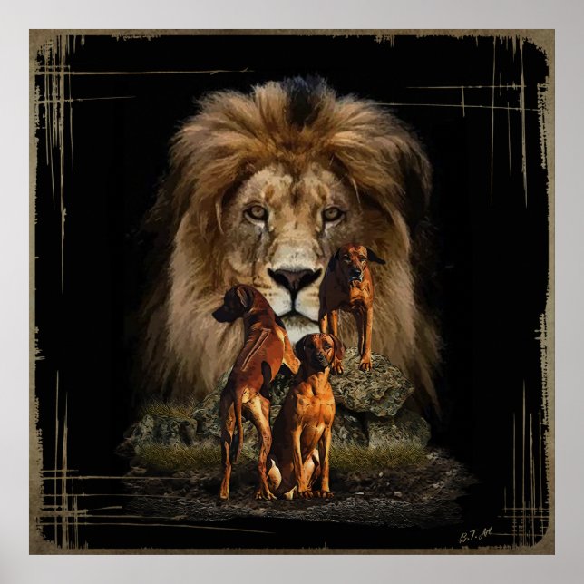 Rhodesian Ridgeback avec Poster Lion (Devant)