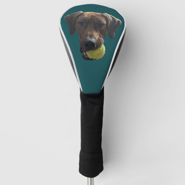 Rhodesian Ridgeback bei Spielen Golf Headcover (Vorderseite)