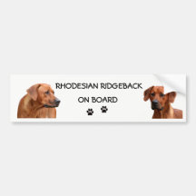 Rhodesian Ridgeback bumpersticker