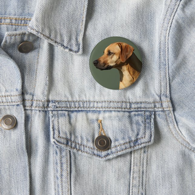 Rhodesian Ridgeback Button (Beispiel)