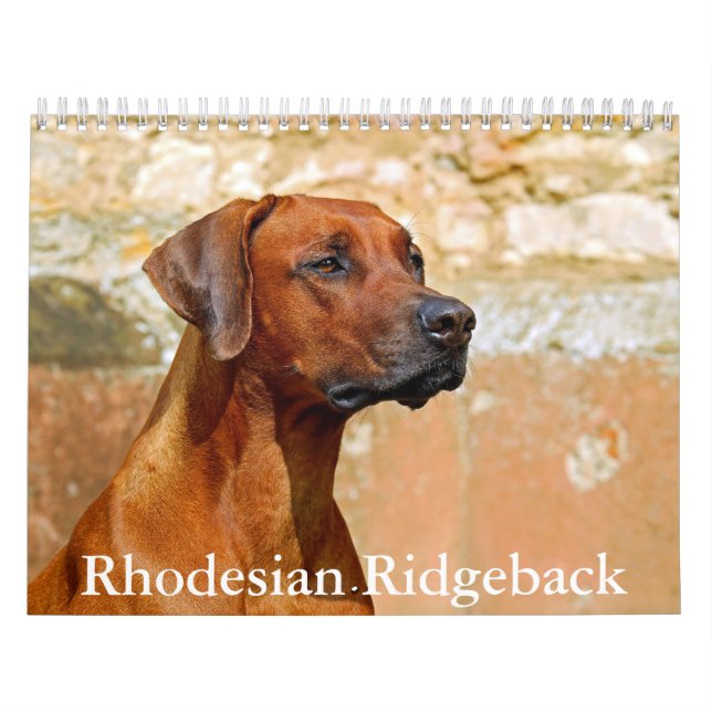 Rhodesian Ridgeback Calendar Kalender (Titelbild)