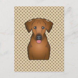Rhodesian Ridgeback Cartoon Postkarte