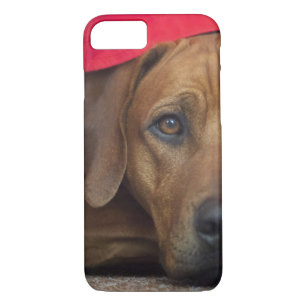 rhodesian-ridgeback Case-Mate iPhone hülle