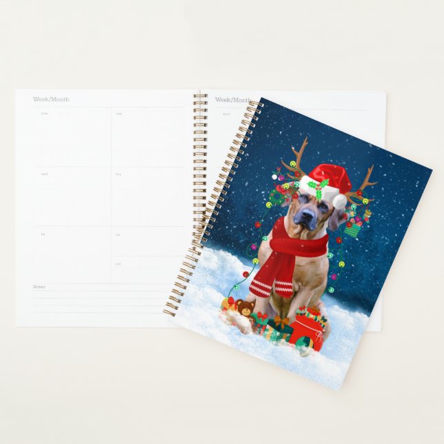 Rhodesian Ridgeback Chien dans neige cadeau de Noë (Devant avec enveloppe)
