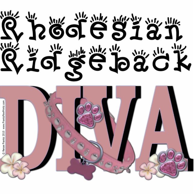 Rhodesian Ridgeback DIVA Freistehende Fotoskulptur (Vorne)