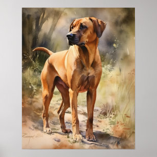 Rhodesian Ridgeback Dog Art Print Poster