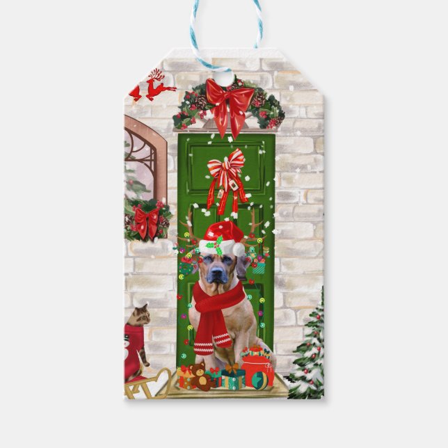 Rhodesian Ridgeback Dog Weihnachten Geschenkanhänger (Vorderseite)