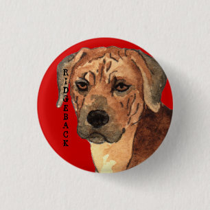 Rhodesian Ridgeback Farbblock Button