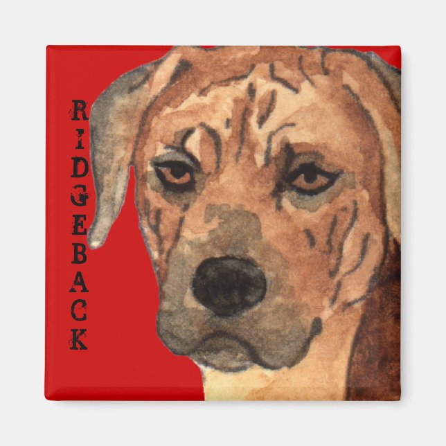 Rhodesian Ridgeback Farbblock Magnet (Vorne)