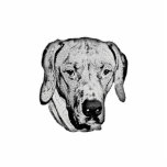 Rhodesian Ridgeback Freistehende Fotoskulptur<br><div class="desc">Rhodesian Ridgeback</div>