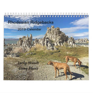 Rhodesian Ridgeback gehende Plätze Kalender-2019 Kalender