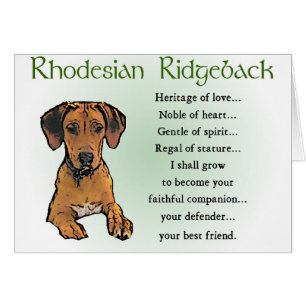 Rhodesian Ridgeback Geschenke