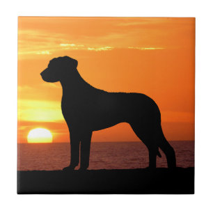 Rhodesian Ridgeback goldene Fliese
