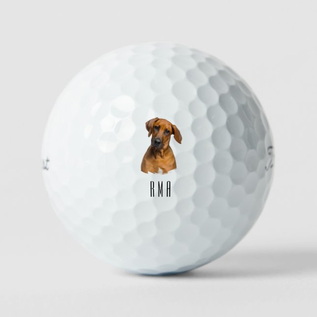 Rhodesian Ridgeback Golfball (Vorderseite)