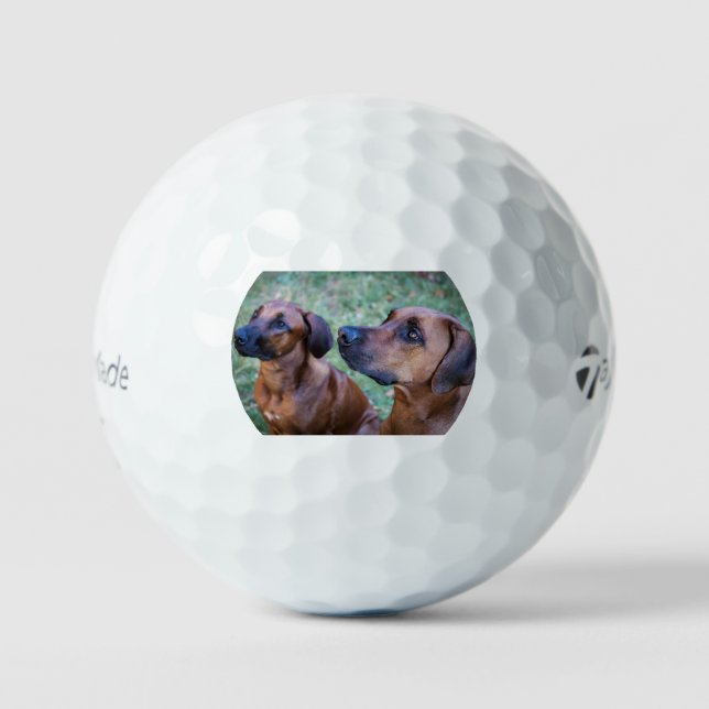 rhodesian-ridgeback-group golfball (Vorderseite)
