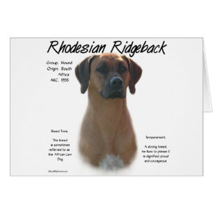 Rhodesian Ridgeback Historique Design