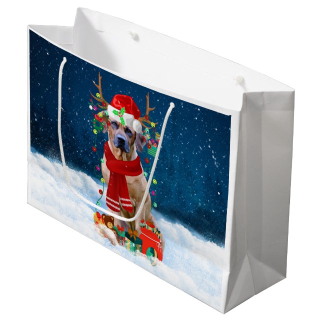 Rhodesian Ridgeback Hund in Schnee Weihnachtsgesch Große Geschenktüte (Vorderseite Schrägansicht)