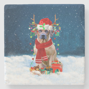 Rhodesian Ridgeback Hund in Schnee Weihnachtsgesch Steinuntersetzer