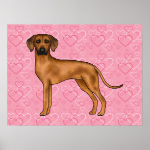 Rhodesian Ridgeback Hund Liebe Herzmuster Rosa Poster