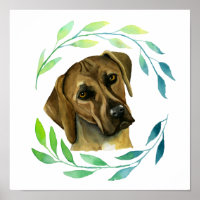Rhodesian Ridgeback Hund mit Kranz