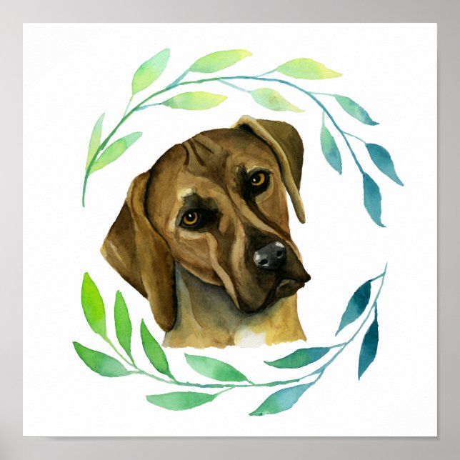 Rhodesian Ridgeback Hund mit Kranz Poster (Vorne)