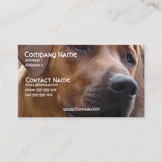 Rhodesian Ridgeback HundeVisitenkarte Visitenkarte (Vorderseite)